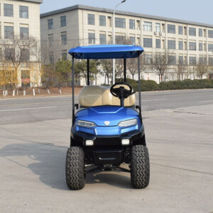 2021 New Design Z series 2-seater electric golf cart 1