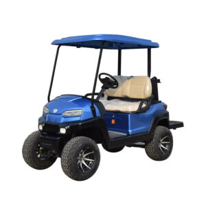 2021 New Design Z series 2-seater electric golf cart