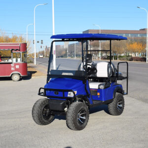 2+2 seater lifted electric golf cart for sale with CE certificate