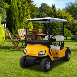 Electric Golf Carts L2 Yellow 1