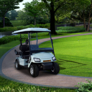 Electric Golf Carts L2A 1