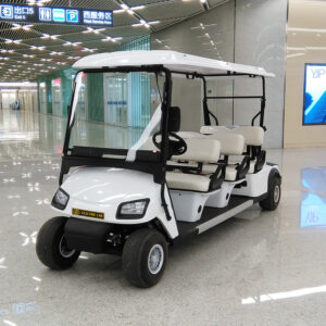 Electric Golf Carts L6 1