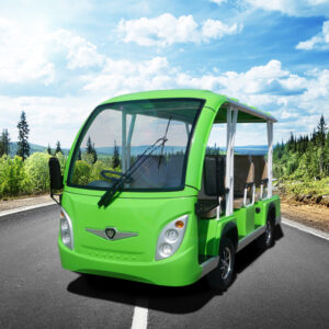Electric Sightseeing Cars A8 Green 1