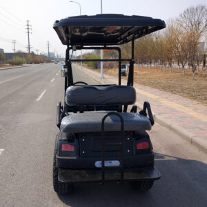 Golf Cart L2A Black 1