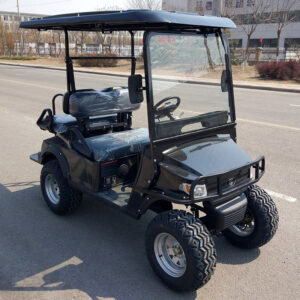 Golf Cart L2A Black