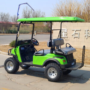 Golf Cart L2A Green 1