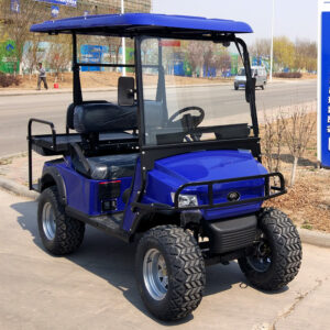 Golf Cart L2C Blue 1