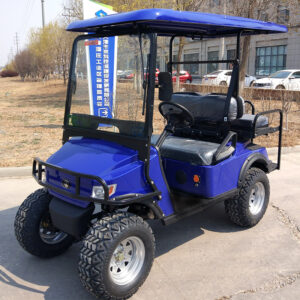 Golf Cart L2C Blue