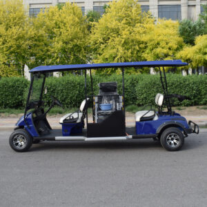 New electric medical golf car ambulance car for wheelchair user 1