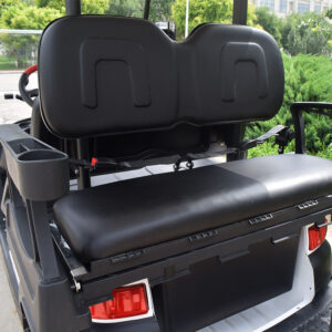 Ô tô điện chơi golf Lifted Black cart Z2C 1