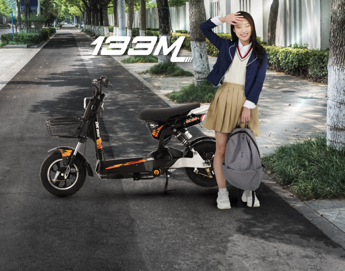 Xe Đạp điện DK Bike M133