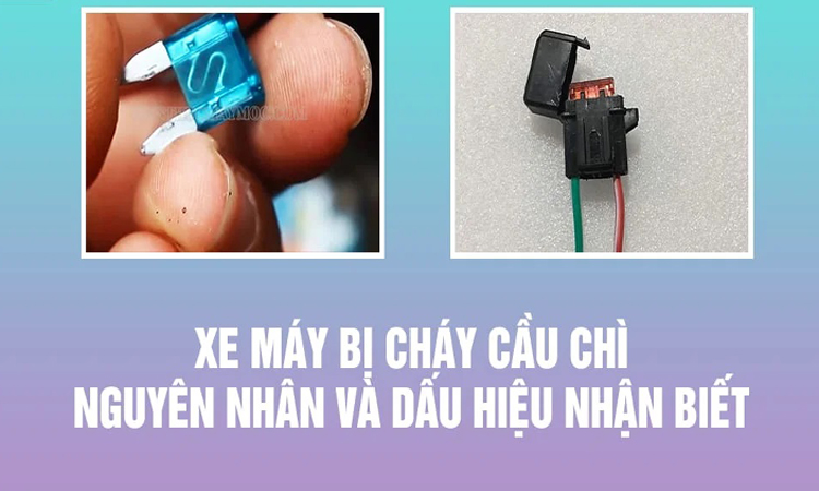 Giá Bán Cầu Chì Xe Đạp Điện