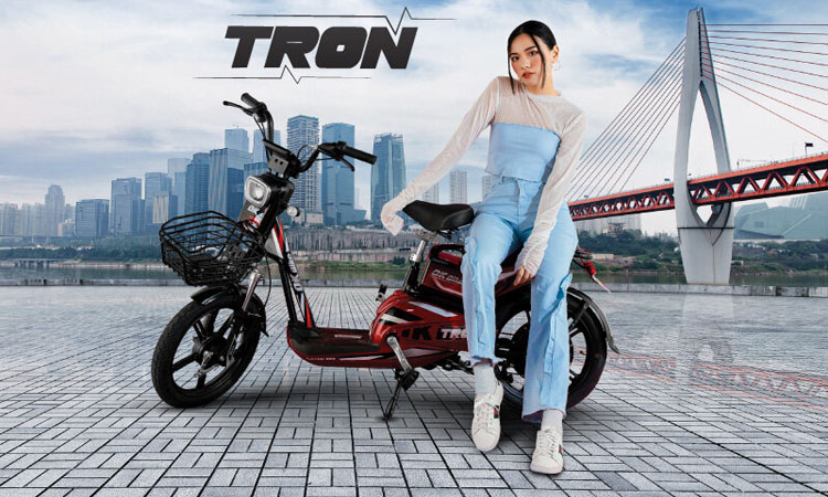 Giá Bán Xe Đạp Điện DK Tron