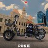 Giá xe đạp điện DK Poke