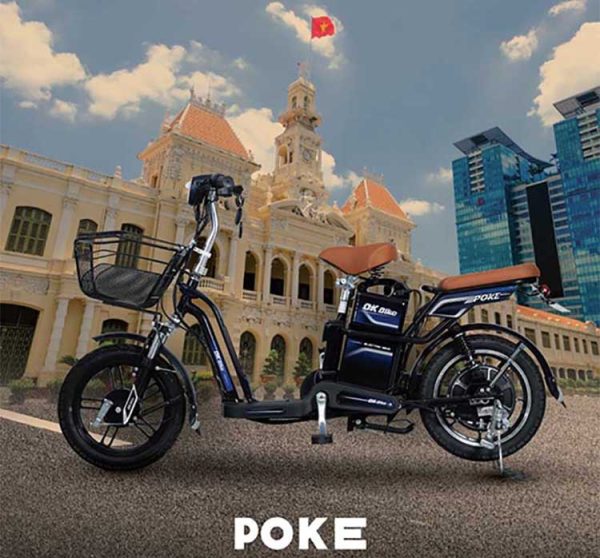 Giá xe đạp điện DK Poke